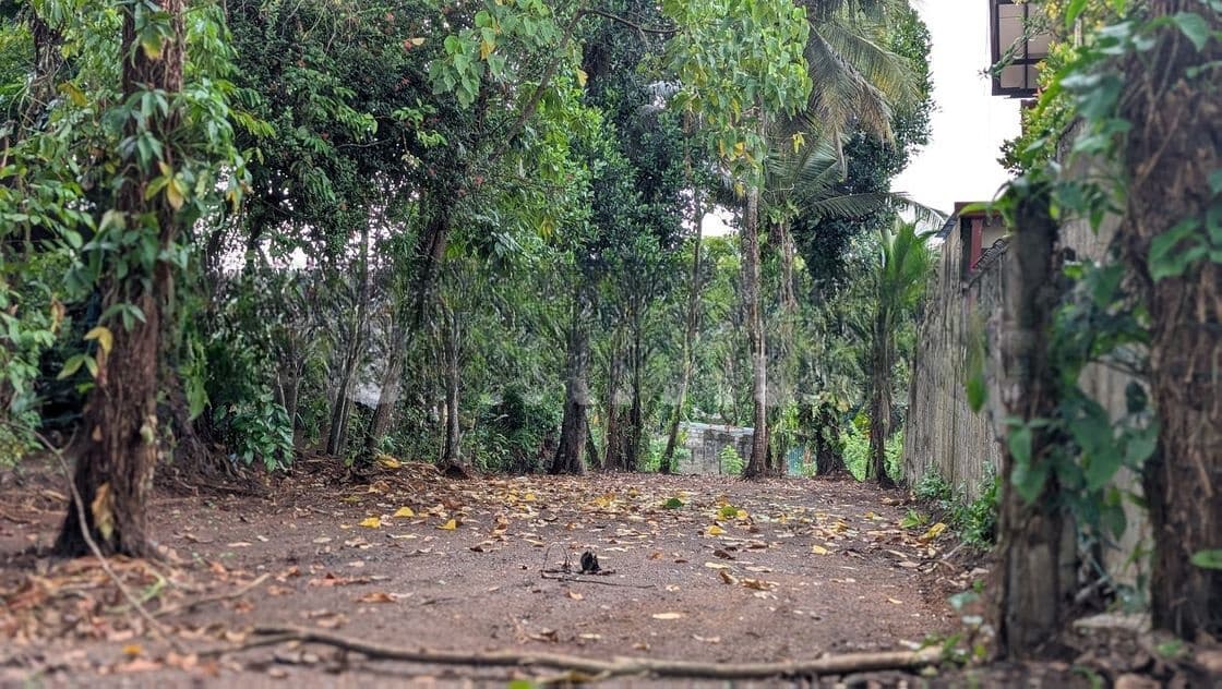 26.5 Perches Land for Sale in Piliyandala