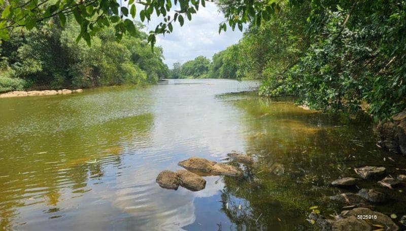Negombo/ Kotadeniyawa 05 Acres Coconut Estate For Sale , Faceing Maha Oya River. ( Gampaha District )