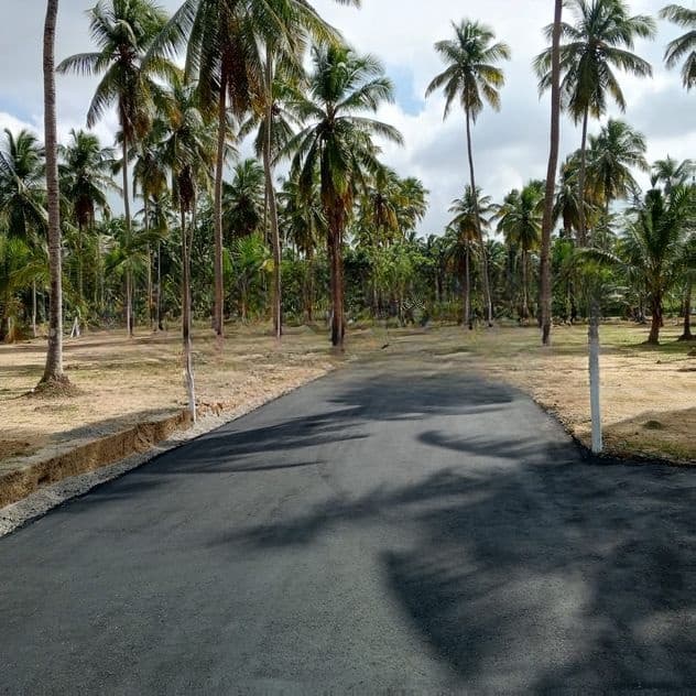 නයිවල දිවුලපිටිය පාරට මුහුනලා බිම්කොටස්