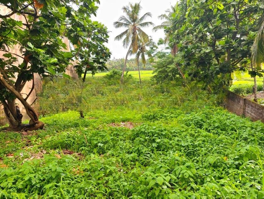 Highly Residential Land for Sale in Malabe, Koswatta, Battaramulla