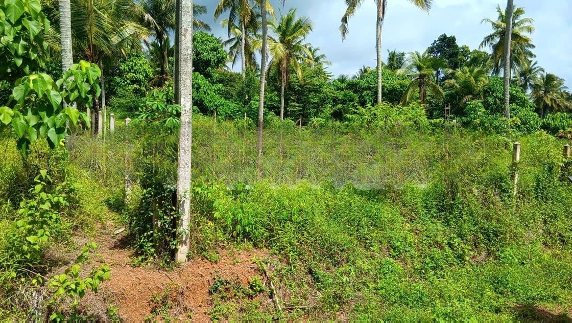 15 Perches Land for Sale in Pannala (SSPL-446)
