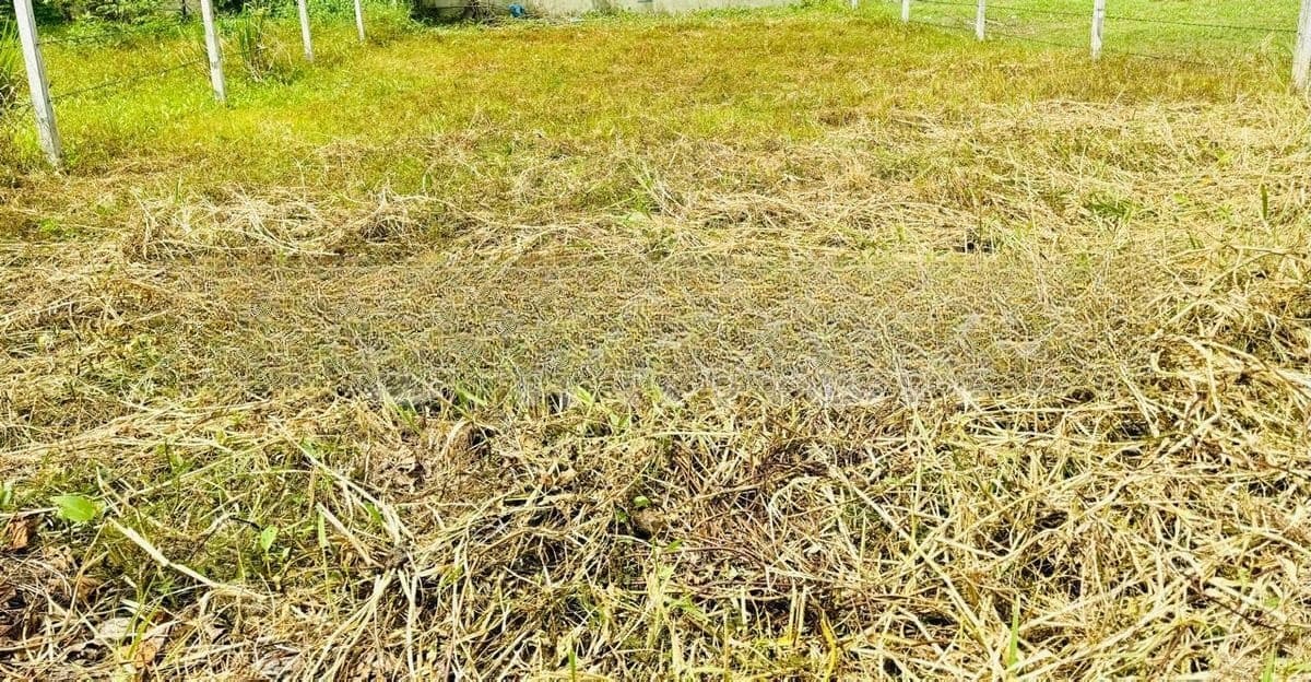 9.7 Square Land for Sale - Boralesgamuwa
