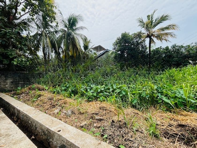 Bare land for sale in Boralesgamuwa