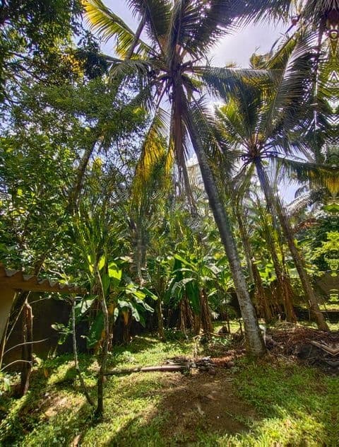 Land for Sale Kadawatha