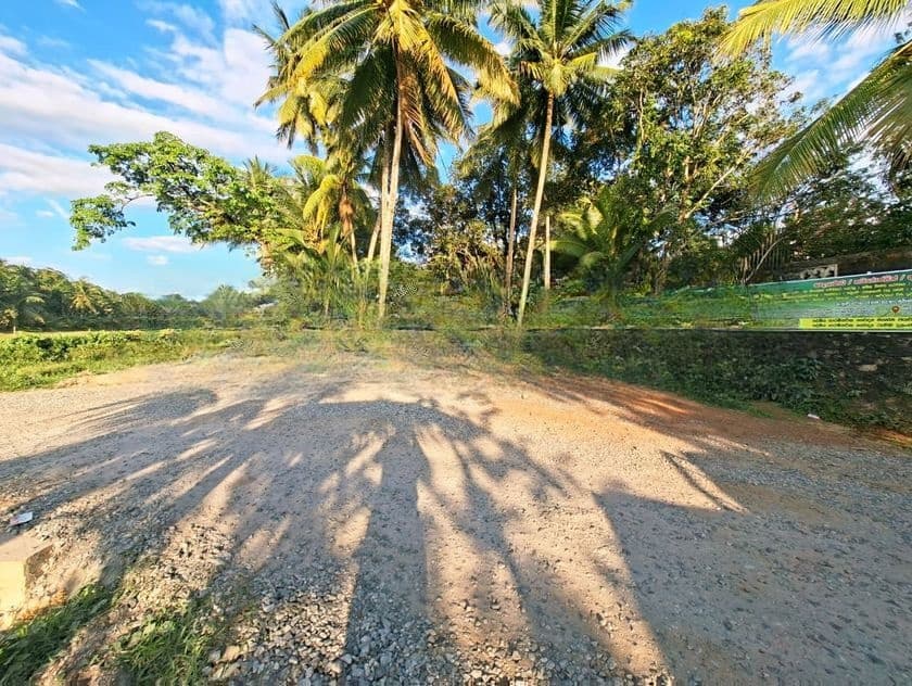 Land for Sale Homagama, 300m Homagama Town. (ID : HMGA006)