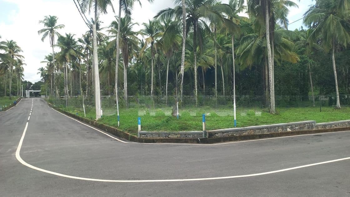ගමිපහ කිරිදිවැල පාරට මුහුණලා යක්කල බිම් කොටස්
