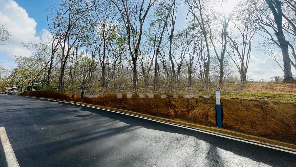 Valuable Land for Sale in Homagama Berukatiya