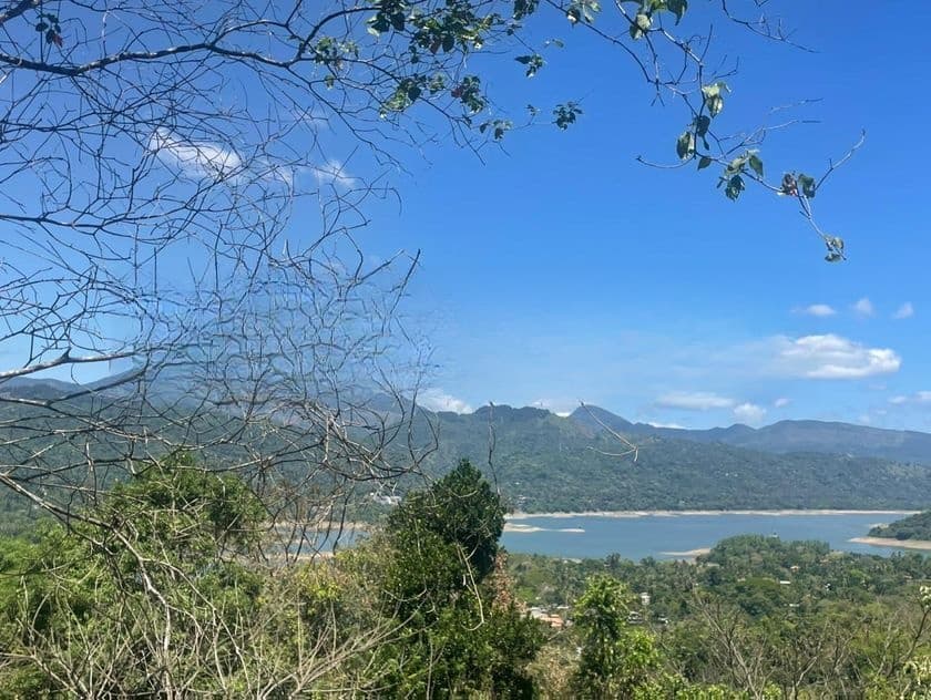 සියමුල පහසුකම් සහිතව දිගනෙන් ඉඩමක්