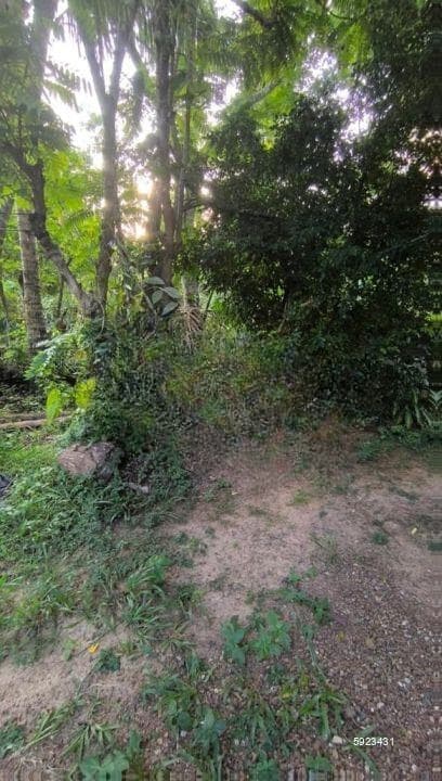 Land With Local House For Sale In Ahangama Inland –code Add 968