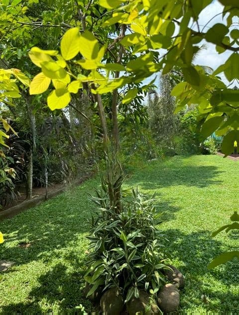 Single Storey House for Sale Koswatte Ds1548