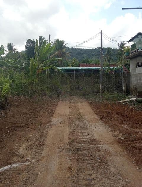 Polgahawela Maddalanda Land