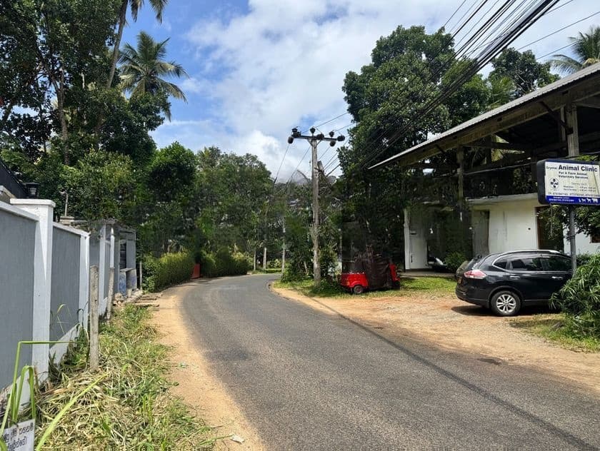 29.5 Perch Residential Land in Gannoruwa, Kandy for Sale