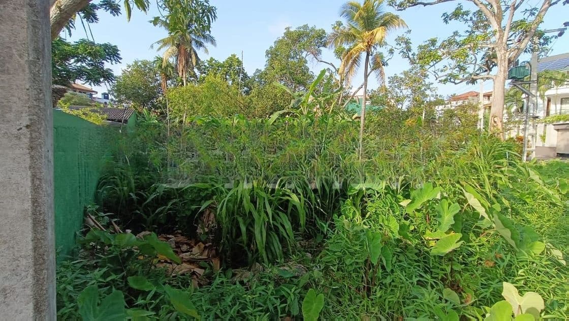 land blocks for sale alwis town near lyceum wattala