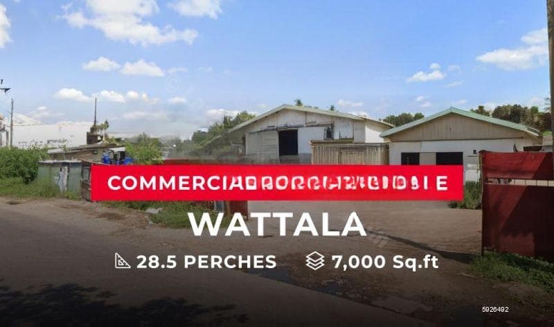 Commercial Property for Sale - Wattala | LKR 145,000,000