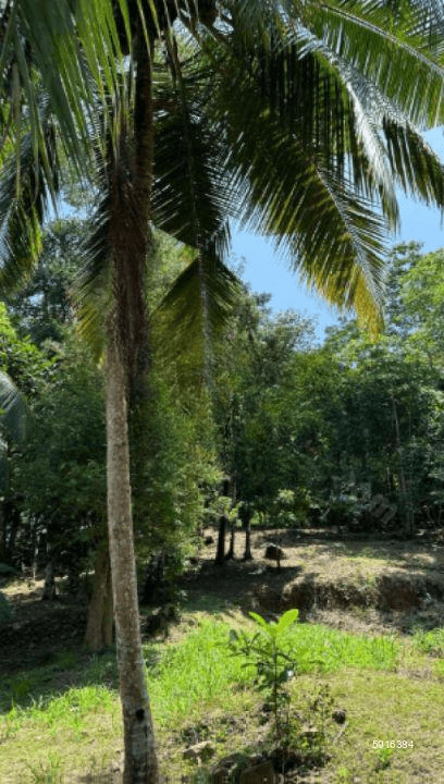 Land for Sale in Unawatuna, Talpe | Price LKR 45 Million (LA4673)