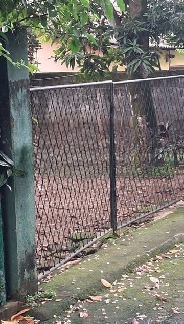 Super Land for Sale in Diwlpitiya