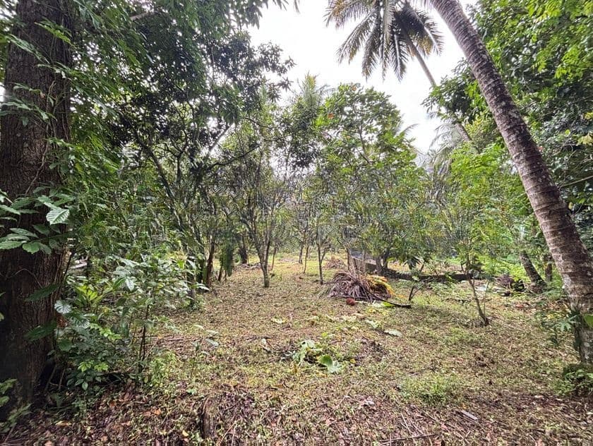 Land For Sale In Homagama