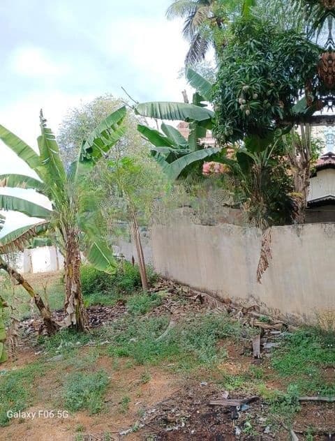 Dehiwala Allen Avenue 11 P of Prime Bare Land for Sale