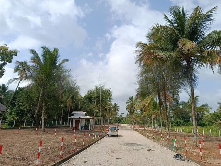 Land for Sale Narammala Town