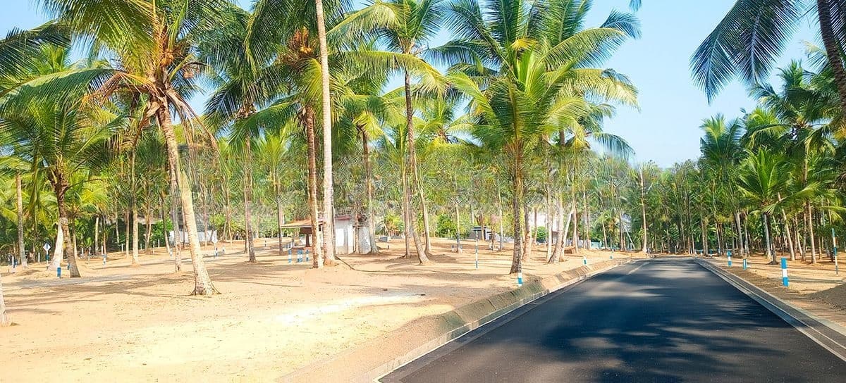 Land In Weboda