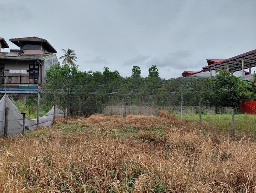 Super Land for Sale Borelesgamuwa