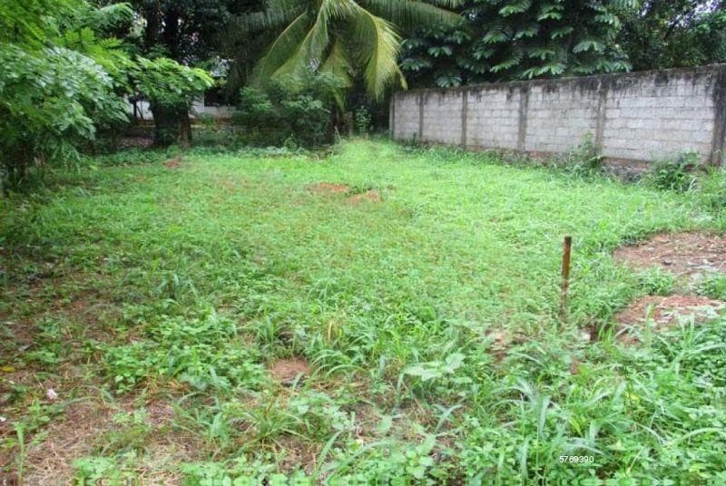 Residential Land for Sale in Wijerama Rd Gampaha.