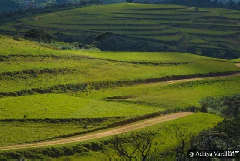 Large 12 Acres of Free Hold Land in Nuwara Eliya For Sale