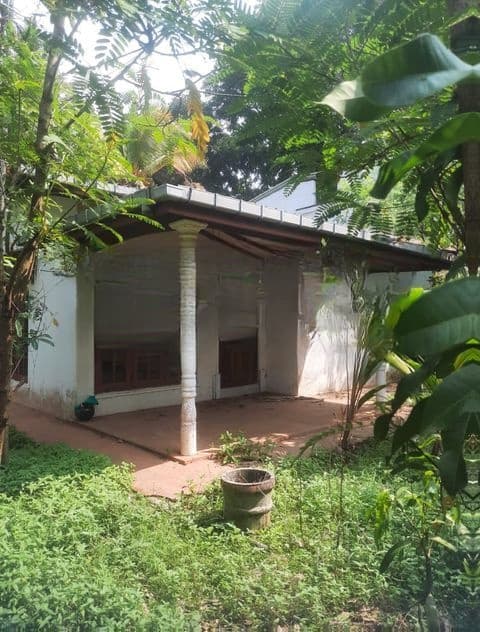 Land For Sale In Raththanapitiya