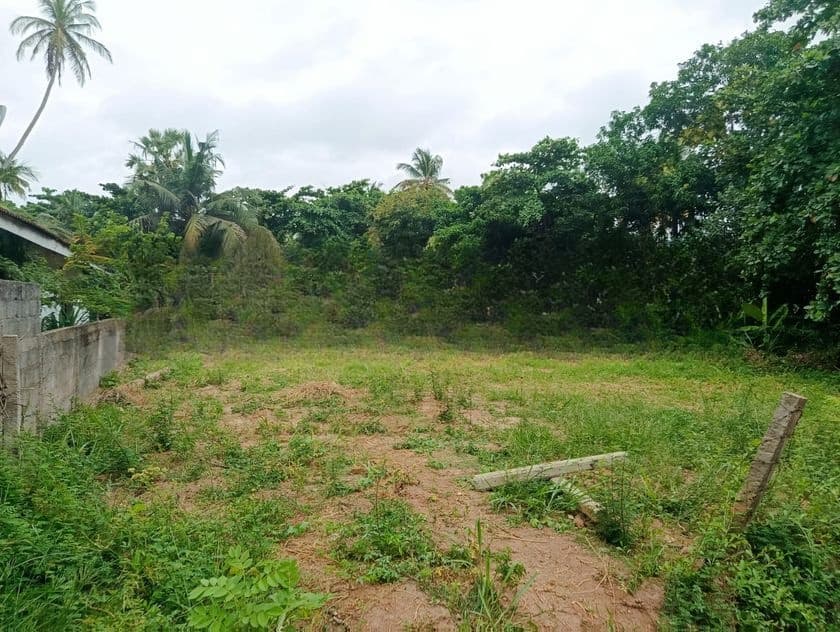 Prime 45 Perch Land for Sale Negombo