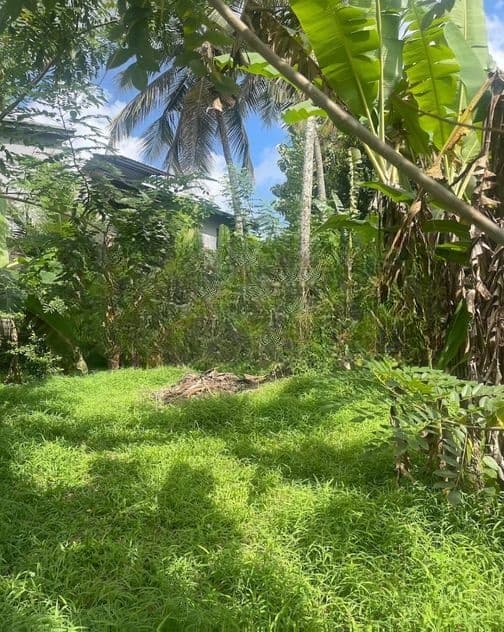 12P Residential Land for Sale in Pothuarawa Road, Malabe