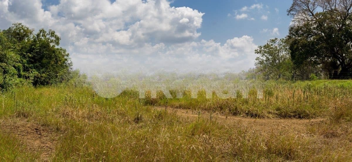Dambulla 53 Acre Land for Sale ( 15 Minutes to Sigiriya Town )