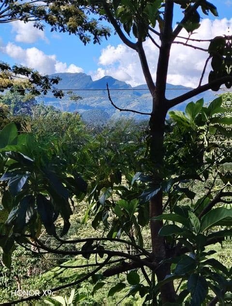Land for Sale in Kandy Thannakumbura