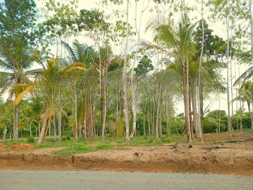 Land for Sale in Ahangama