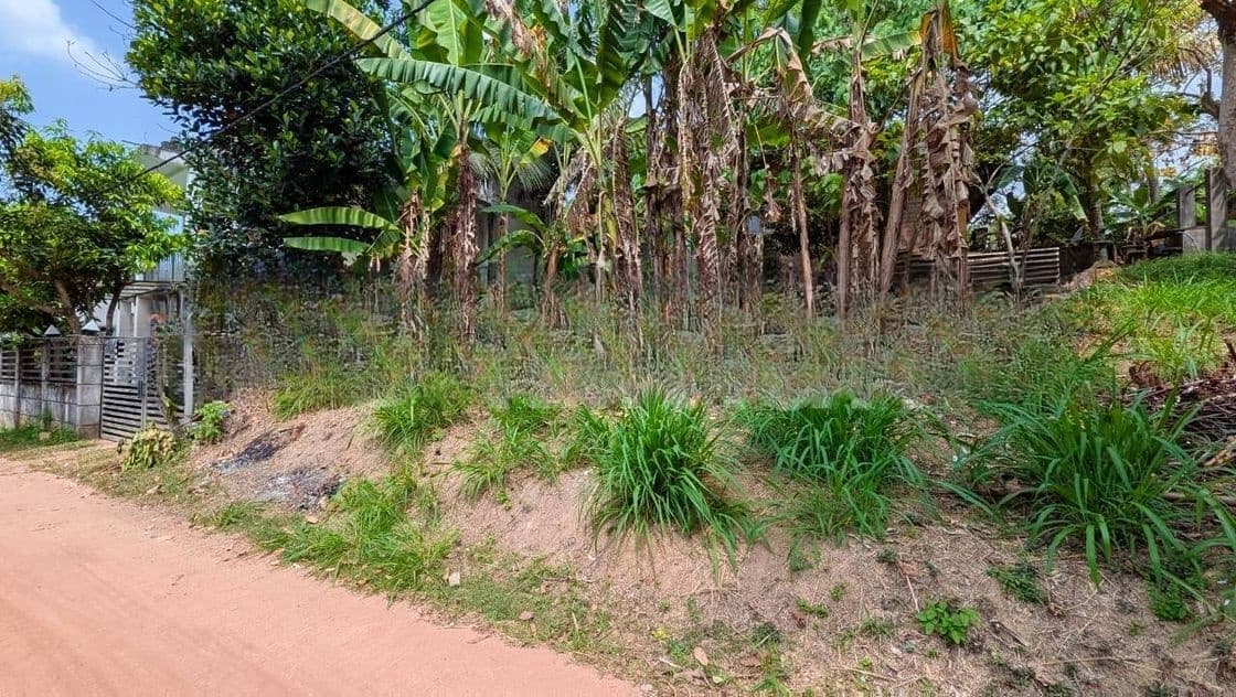 කඩවත මැයිගහමුලින් වටිනා ඉඩමක්