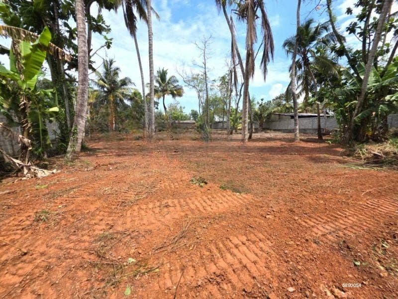 Prime Road-Front Land for Sale in Katunayaka – Ideal for Hotel / Apartments / Warehouse