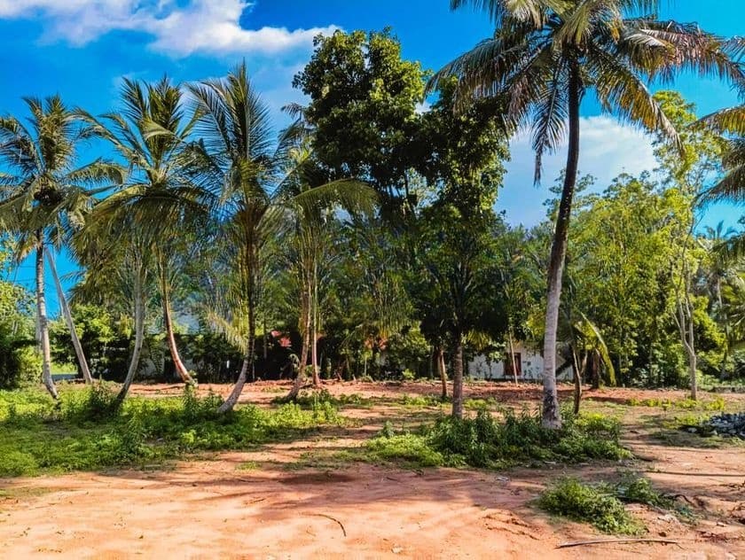 Luxury Land Midigama
