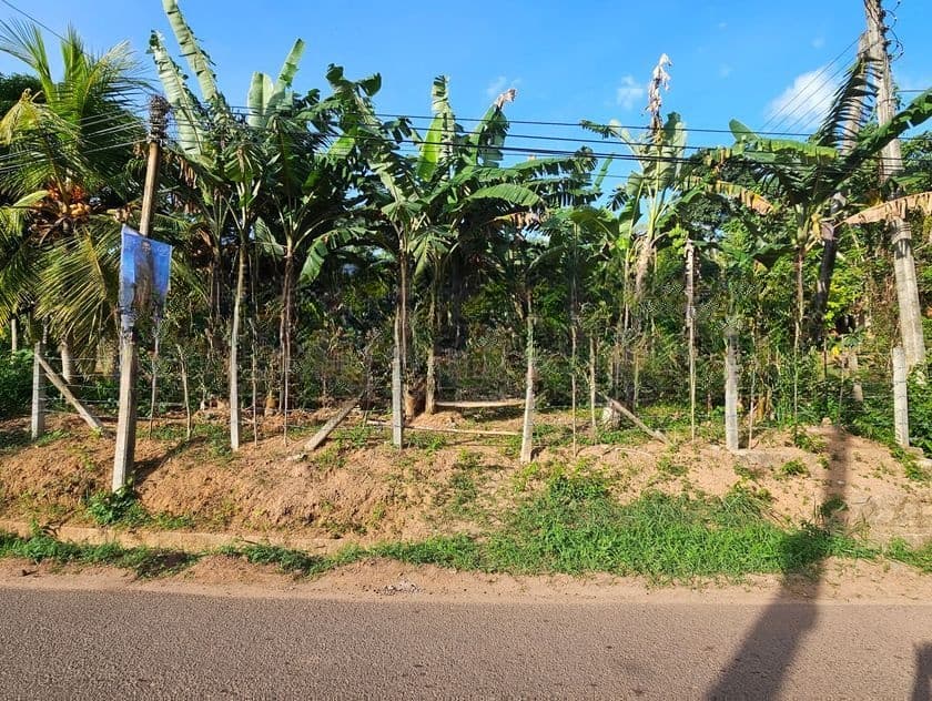 Land for Sale in Gampaha