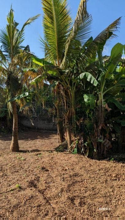 Land for sale in Maharagama