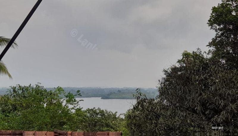 Land For Sale in Hikkaduwa (SSPL-356)