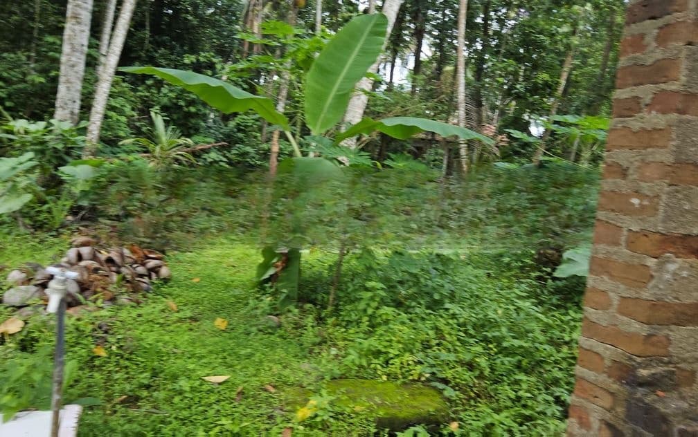 Minuwangoda land with house For Sale (NK11316)
