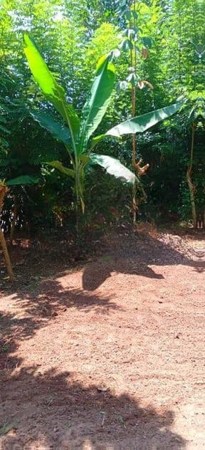 Land for Sale in Heiyanthuduwa