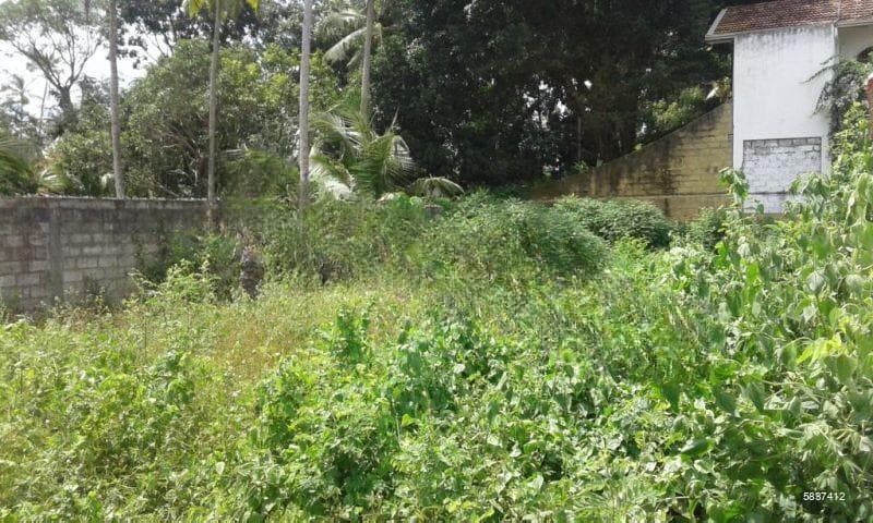 40-perch bare land, facing main road; ideal for apartments or villa
