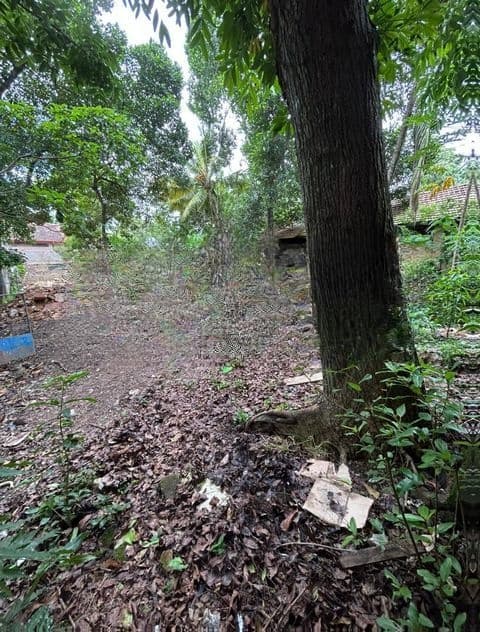 Prime 20-Perch Residential Land for Sale in Ambuldeniya, Kanatta Road