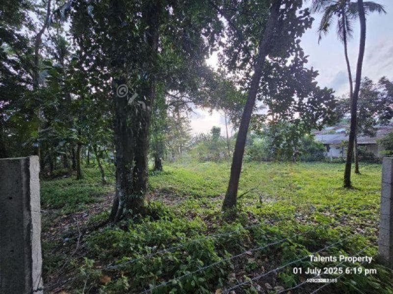 Land for Sale in Makola – Kiribathgoda | 78 Perches – LKR 700,000 Per Perch | KO-877