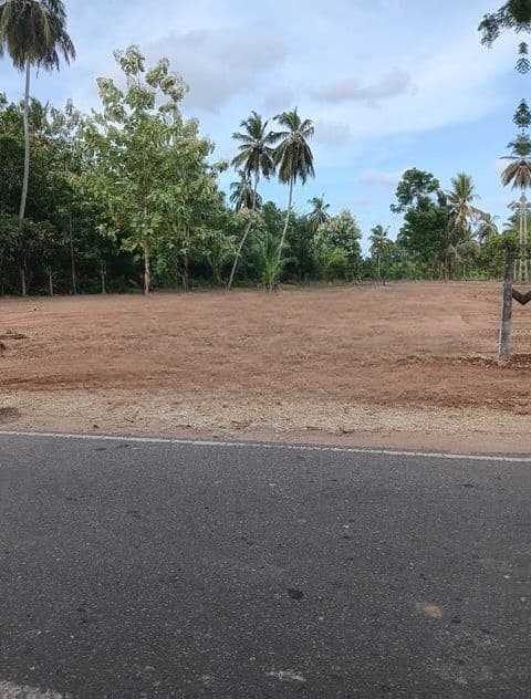 Land for Sale Anuradapura