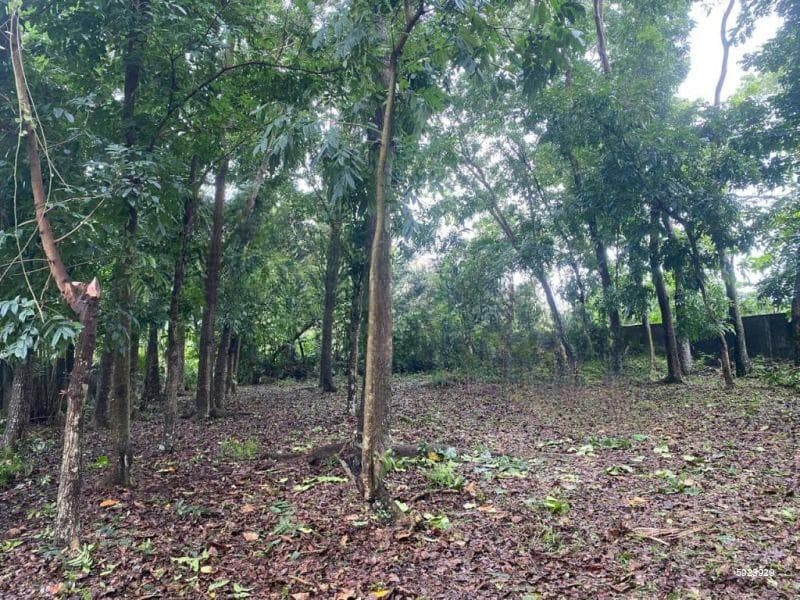 Waterfront land for sale in Piliyandala