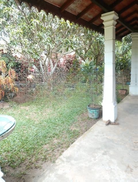 රද්දොලුවෙන් වටිනා නිවසක් විකිණීමට ඇත