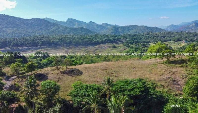 Land for Sale - Digana | LKR 106,000,000