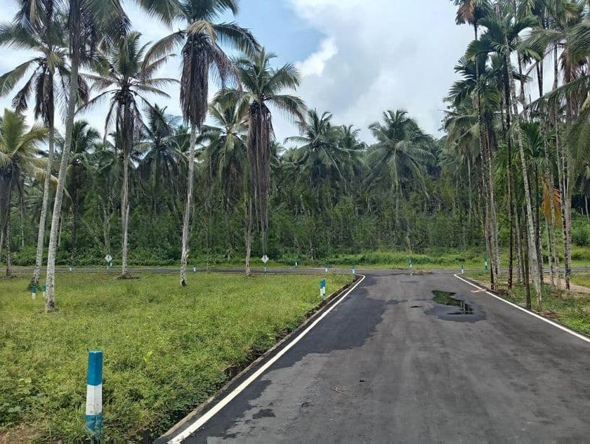 Land for Sale in Homagama