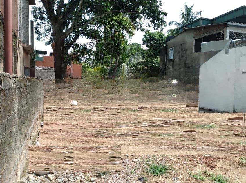 Land for Sale in Colombo 09